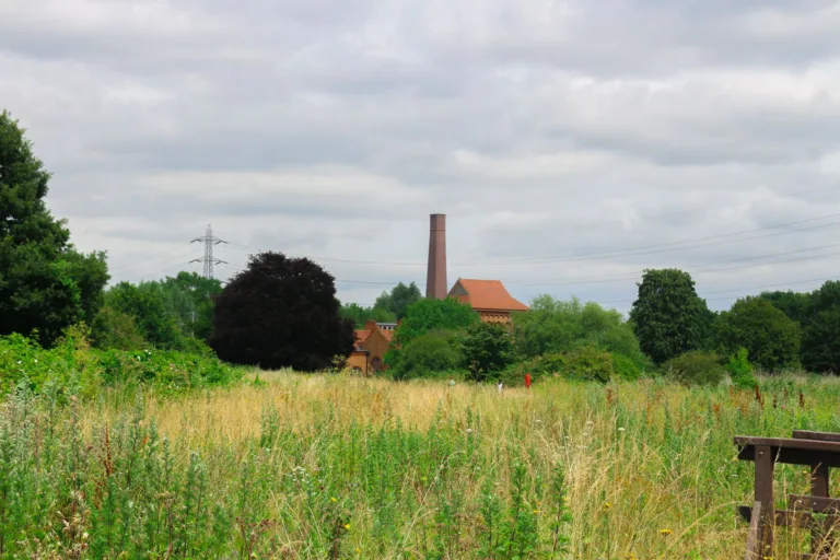 Living in Tottenham Hale